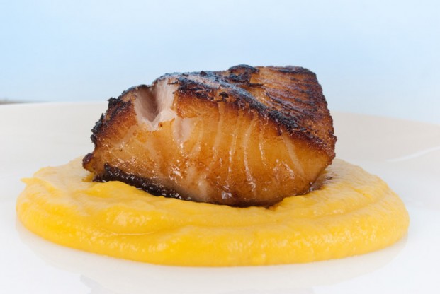 Maple and soy black cod with butternut squash purée