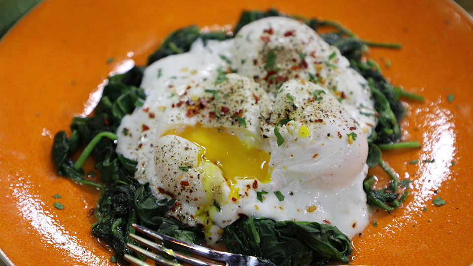 Poached eggs with wilted spinach and garlic yogurt